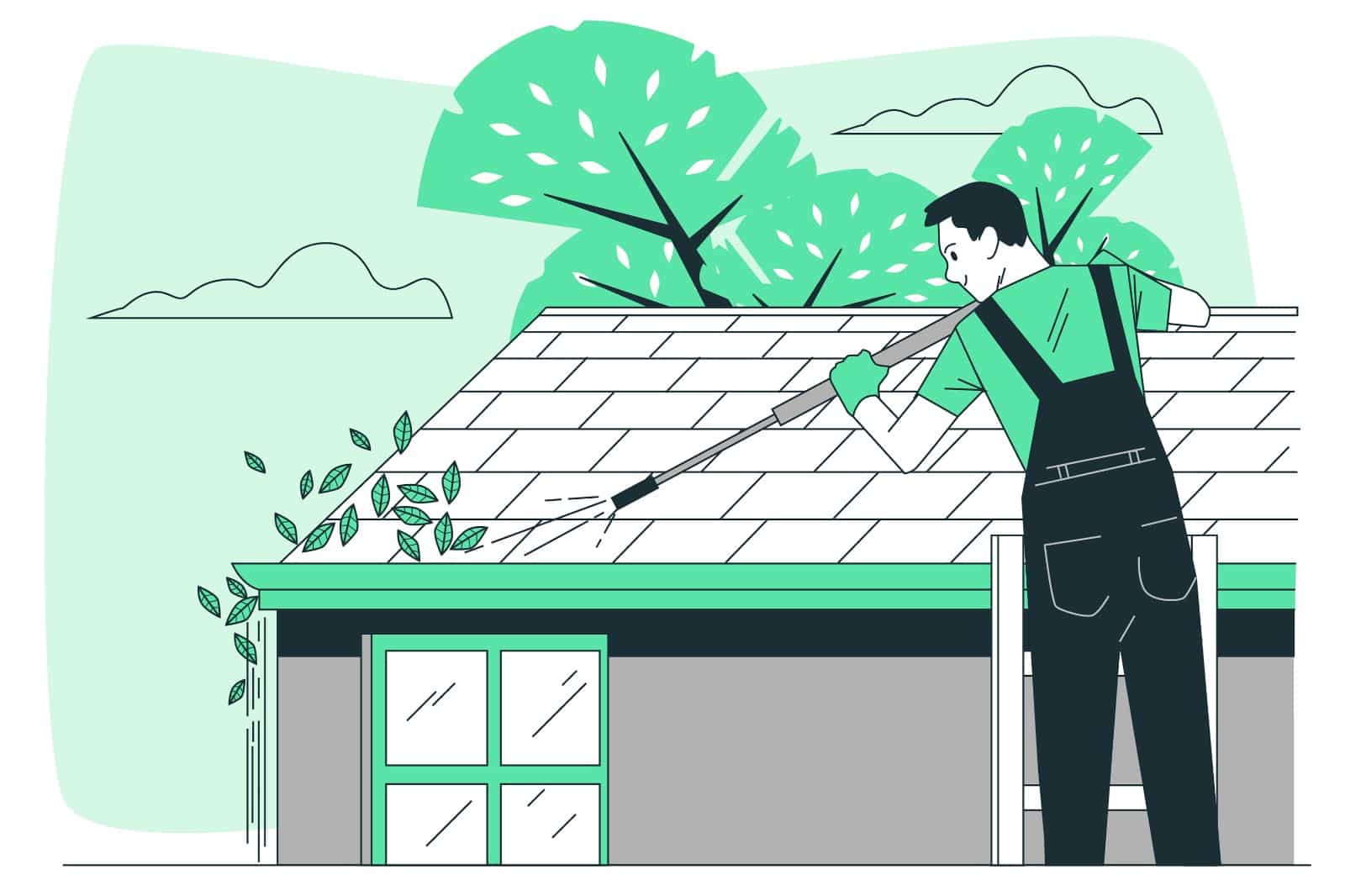 professional gutter cleaning services