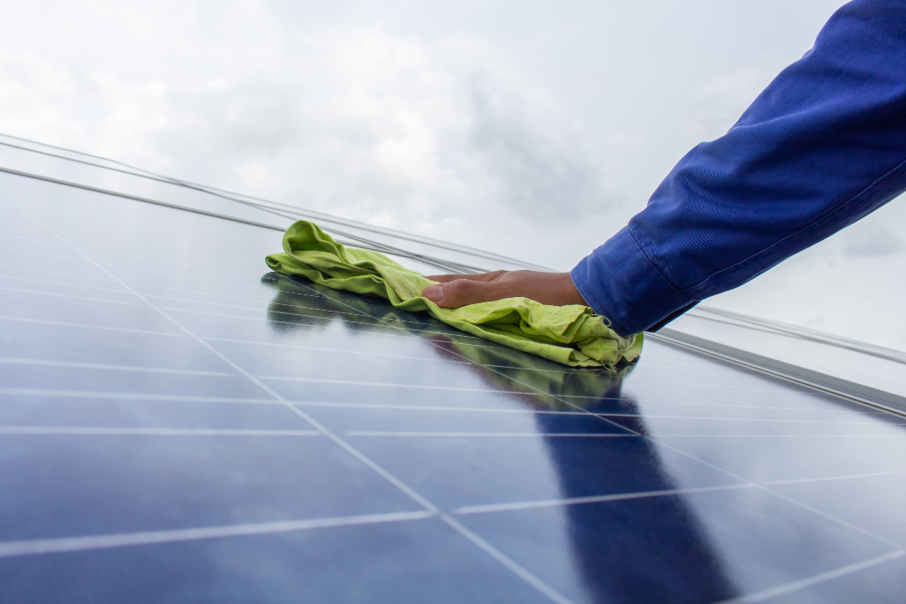 Solar Panel Cleaning in Tuggeranong