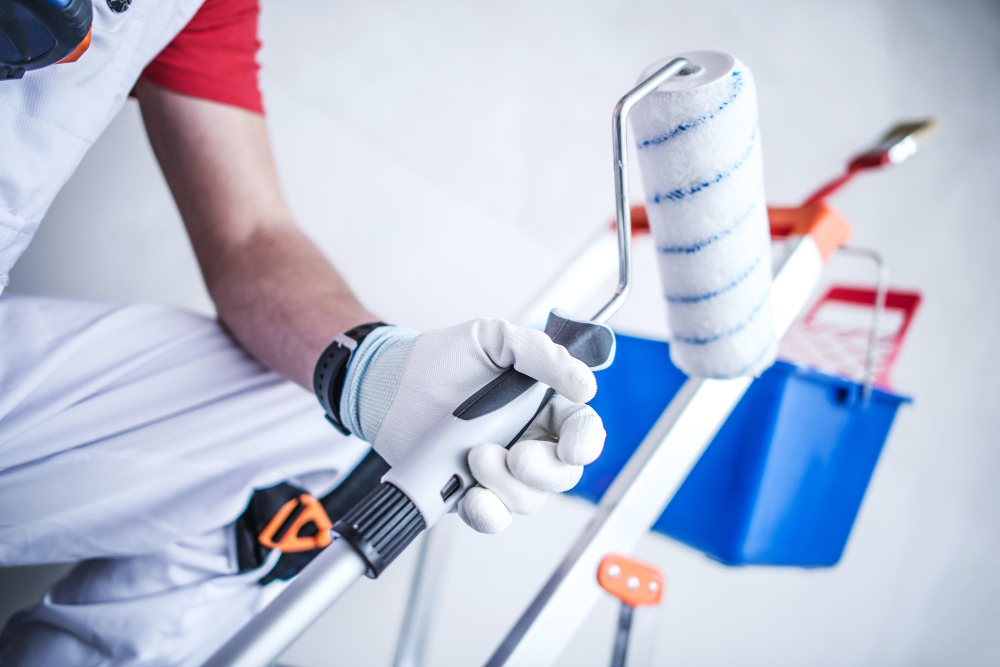 Painting Services in Tuggeranong