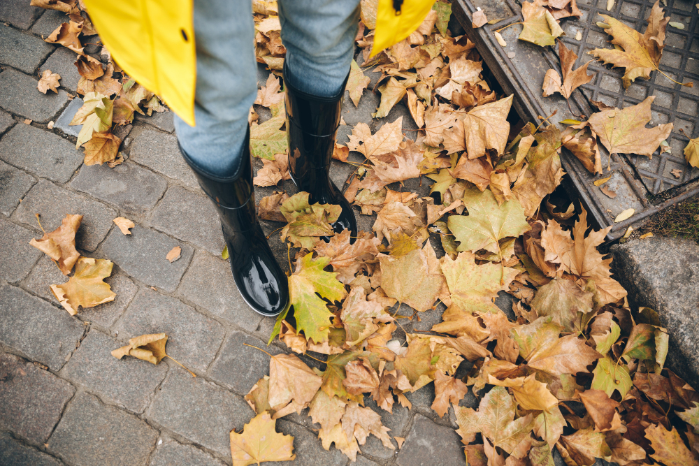 Gutter Cleaning in Tuggeranong