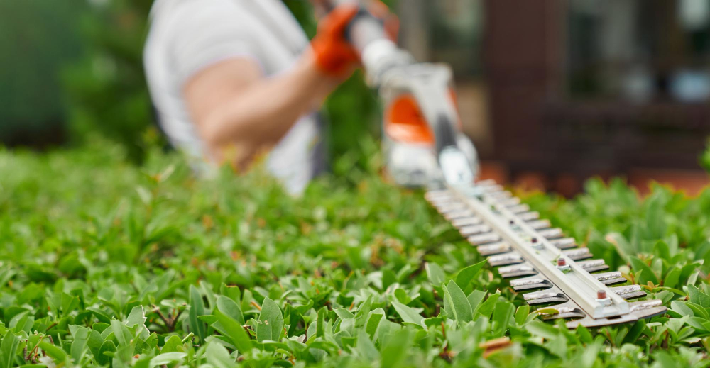 Landscaping Across Canberra and Tuggeranong